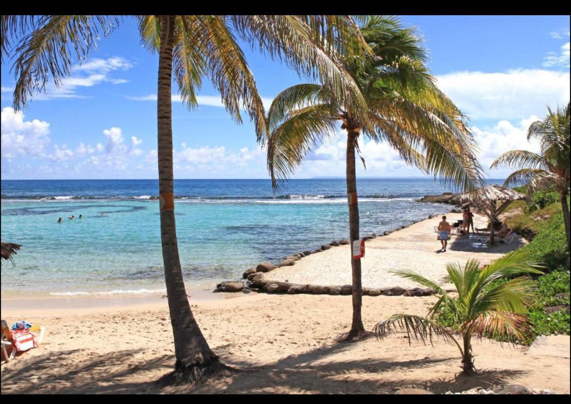 Gwada Cocoon & Blue Lagoon, 2 Studios Cote A Cote Au Manganao A St Francois & Choisissez Le Plus Adapte Saint-Francois  Buitenkant foto