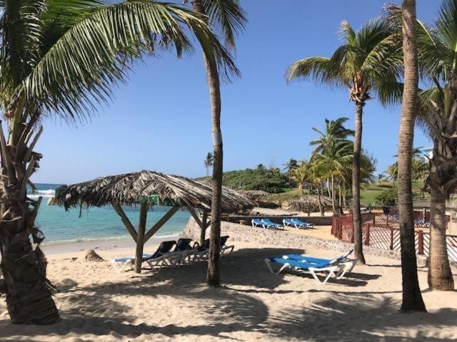 Gwada Cocoon & Blue Lagoon, 2 Studios Cote A Cote Au Manganao A St Francois & Choisissez Le Plus Adapte Saint-Francois  Buitenkant foto